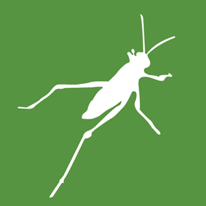 SkyCiv-Grasshopper 