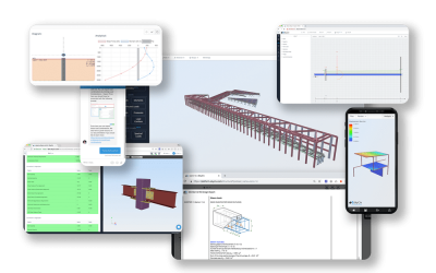 Structural Design Software Professional Account | SkyCiv