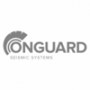 Software de análise estrutural SkyCiv Onguard