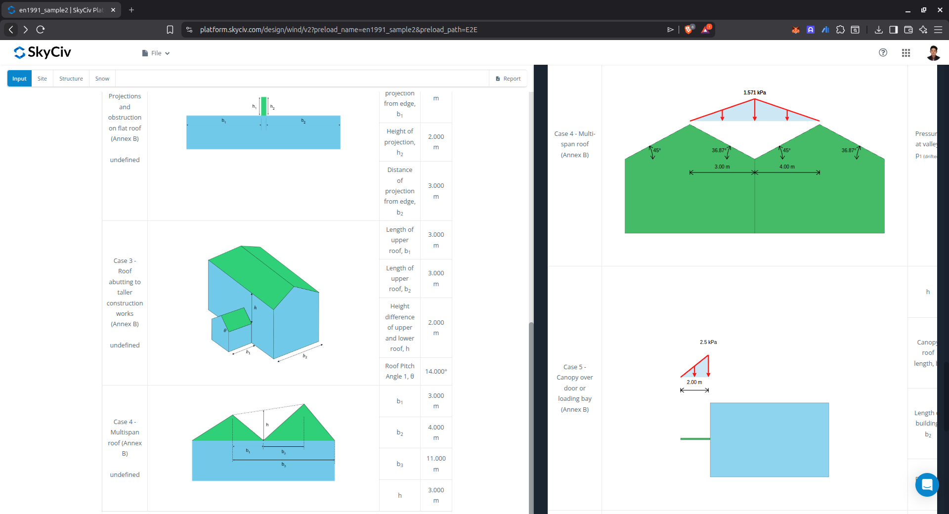 Αποτέλεσμα παρασυρόμενου φορτίου χιονιού για ειδικές θήκες οροφής
