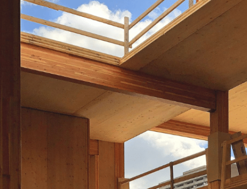 大块木材作为可持续建筑材料